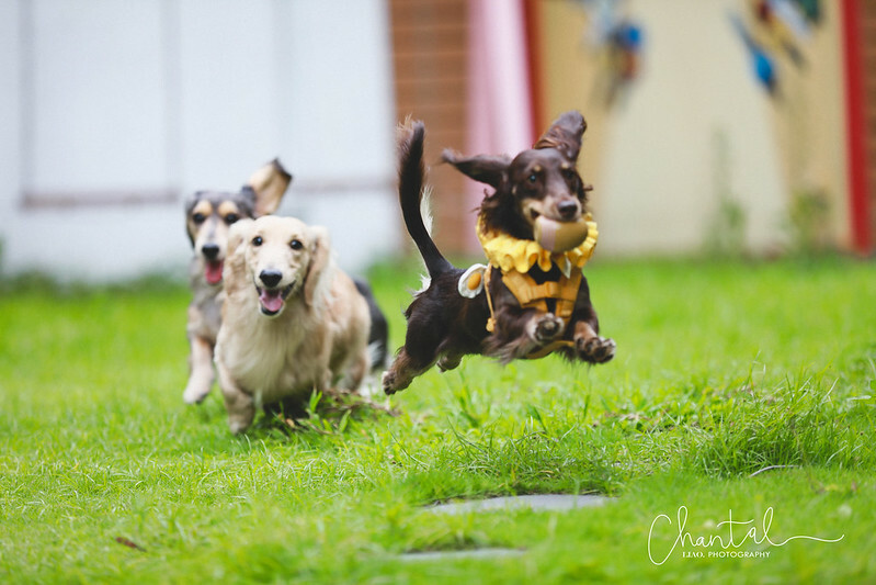 1J6A9383-2拷貝 拷貝