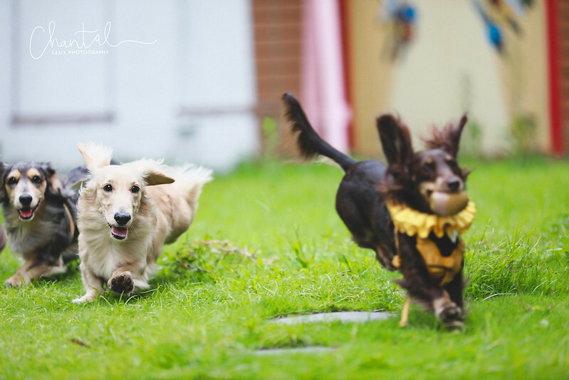 1J6A9384-2拷貝 拷貝