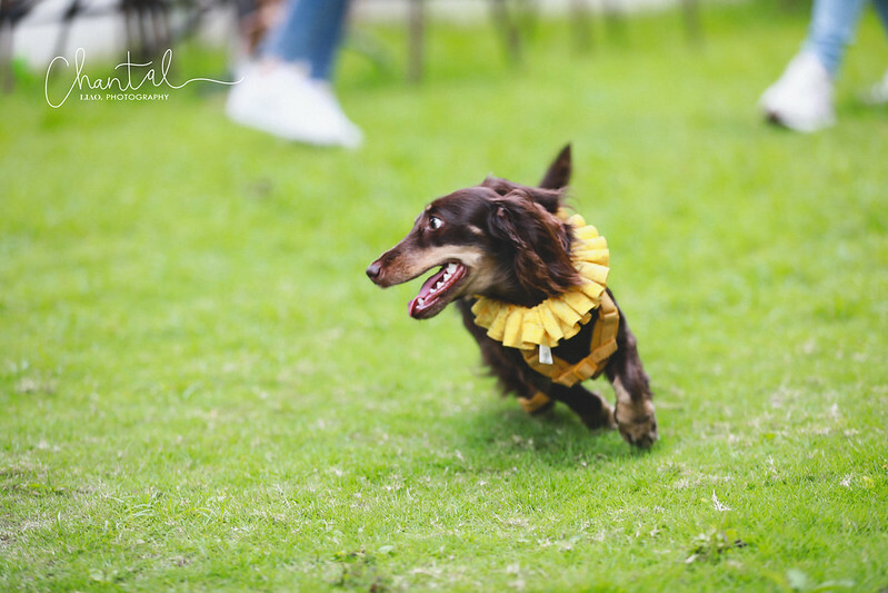 1J6A9400-2拷貝 拷貝