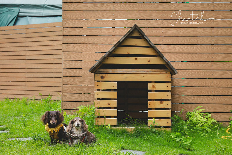 1J6A9034-2拷貝 拷貝