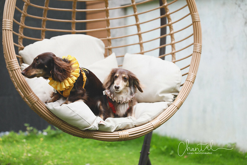 1J6A9069-2拷貝 拷貝