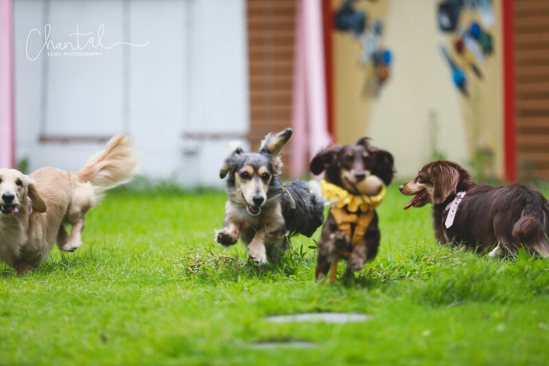 1J6A9391-2拷貝 拷貝