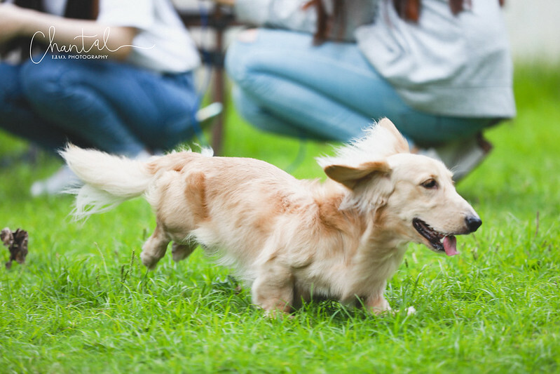 1J6A9380-2拷貝 拷貝