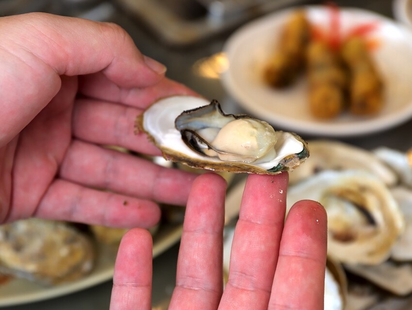 嘉義吃到飽推薦/龍海全蚵宴399鮮蚵吃到飽：嘉義高跟鞋教堂旁CP值最高!炭烤鮮蚵任你吃到飽/20多道熱炒料理.海鮮炸物.特色冷盤.暖胃熱湯通通任你吃/新開幕不限時.超划算 - 進食的巨鼠