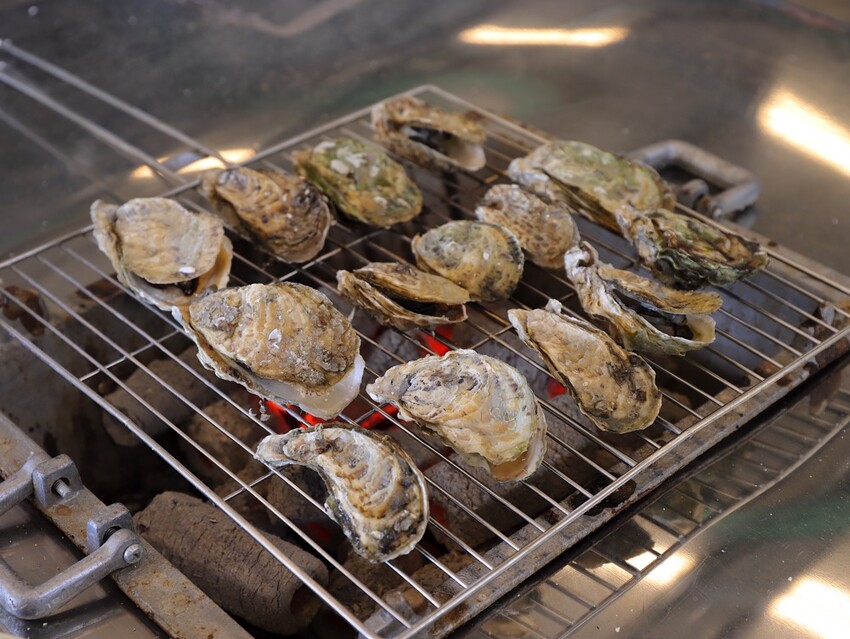 嘉義吃到飽推薦/龍海全蚵宴399鮮蚵吃到飽：嘉義高跟鞋教堂旁CP值最高!炭烤鮮蚵任你吃到飽/20多道熱炒料理.海鮮炸物.特色冷盤.暖胃熱湯通通任你吃/新開幕不限時.超划算 - 進食的巨鼠