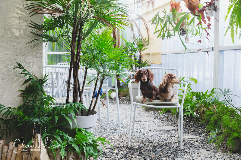 1J6A5696-2拷貝 拷貝