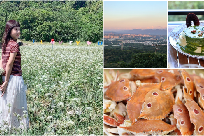 彰化美食老六麵館︱巷弄麵館超推鋪滿滿雞肉絲飯油蔥脆又香.紅油炒手辣醬很夠味.份量多CP值超高的麵館!近彰