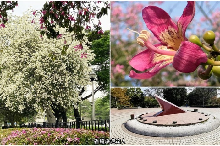 台東住宿｜娜路彎銀河行館,有SPA水療和免費宵夜