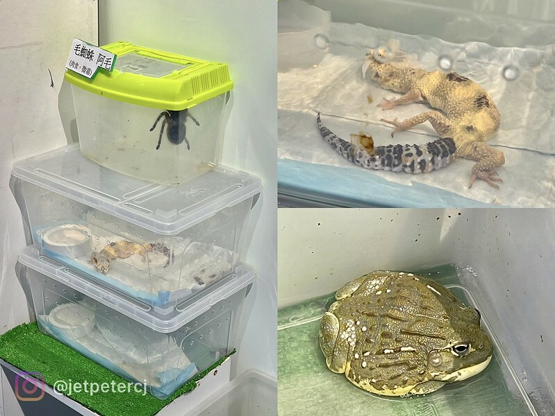 +（基隆冰店）降火～大船入港基隆特色剉冰！高CP值大份量～手