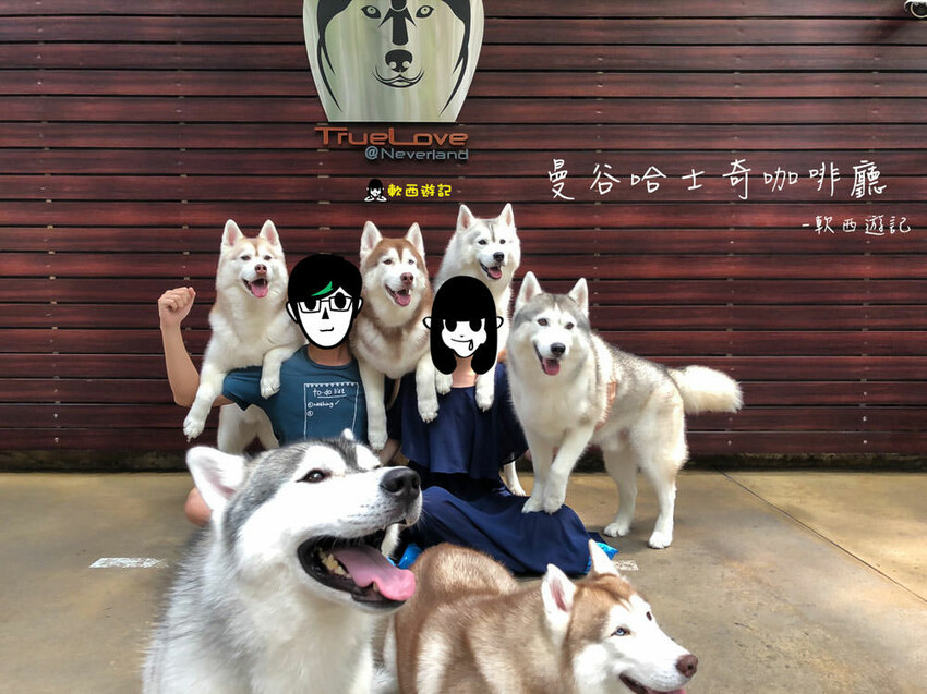 新店裕隆城商場美食推薦「TOK盡興食光」新開幕聚餐餐廳推薦 - 軟西，遊記