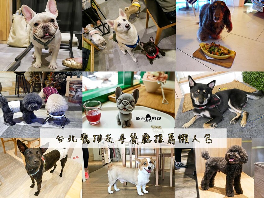 新店裕隆城商場美食推薦「TOK盡興食光」新開幕聚餐餐廳推薦 - 軟西，遊記