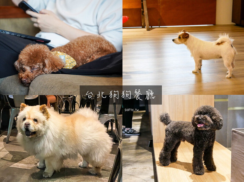 新店裕隆城商場美食推薦「TOK盡興食光」新開幕聚餐餐廳推薦 - 軟西，遊記