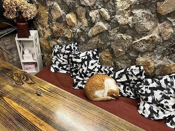 LINE_ALBUM_250316-九份_250318_154 LINE_ALBUM_250316-九份_250318_154