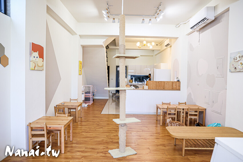 員林新店！藏在透天厝的貓互動店，被一群貓星人包圍超療癒，根本是貓控天堂，必點巨型港式舒芙蕾和金磚蜜糖吐司