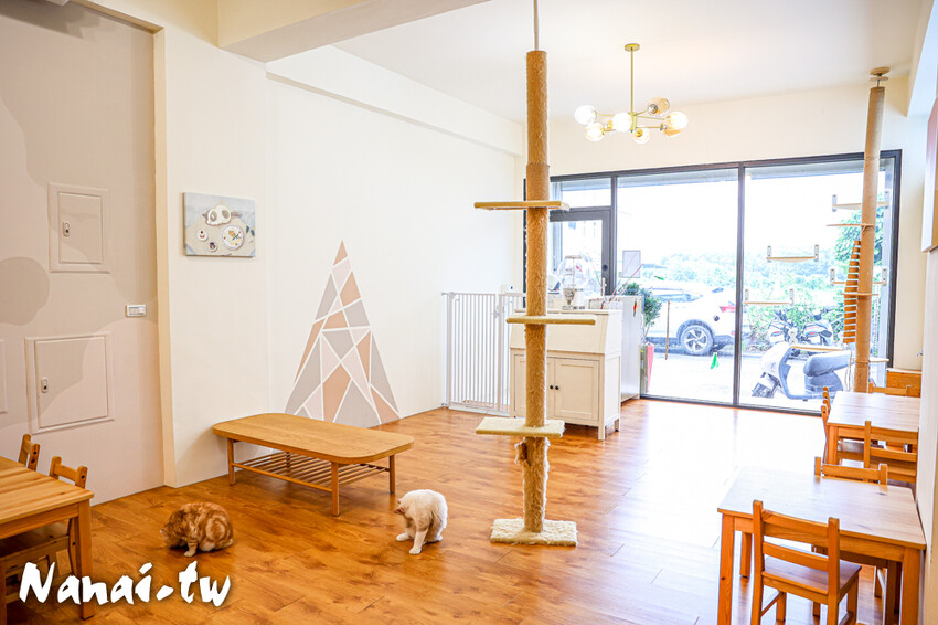 員林新店！藏在透天厝的貓互動店，被一群貓星人包圍超療癒，根本是貓控天堂，必點巨型港式舒芙蕾和金磚蜜糖吐司