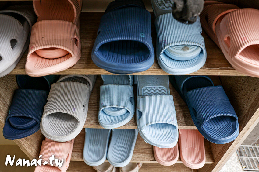 員林新店！藏在透天厝的貓互動店，被一群貓星人包圍超療癒，根本是貓控天堂，必點巨型港式舒芙蕾和金磚蜜糖吐司