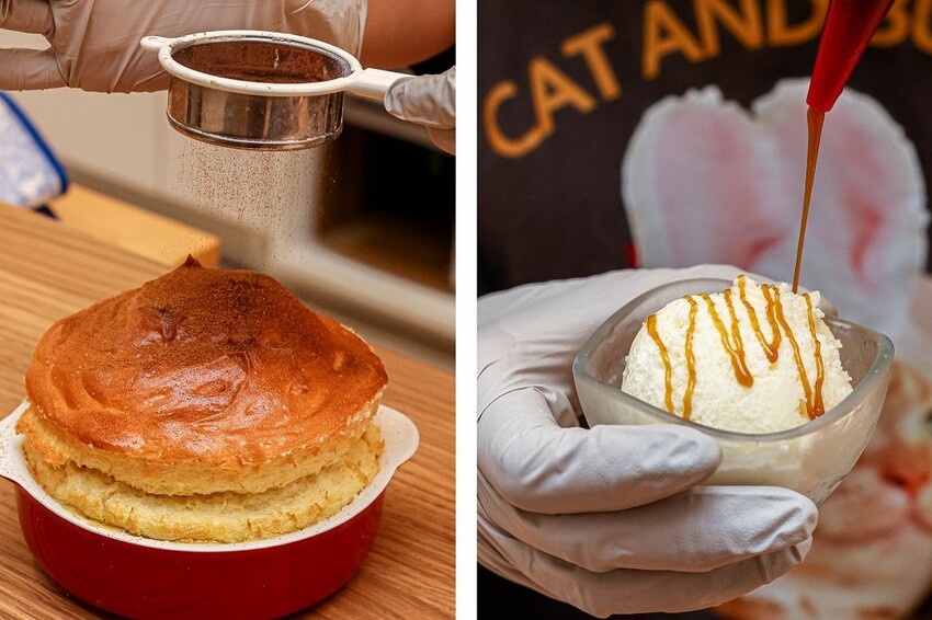 員林新店！藏在透天厝的貓互動店，被一群貓星人包圍超療癒，根本是貓控天堂，必點巨型港式舒芙蕾和金磚蜜糖吐司