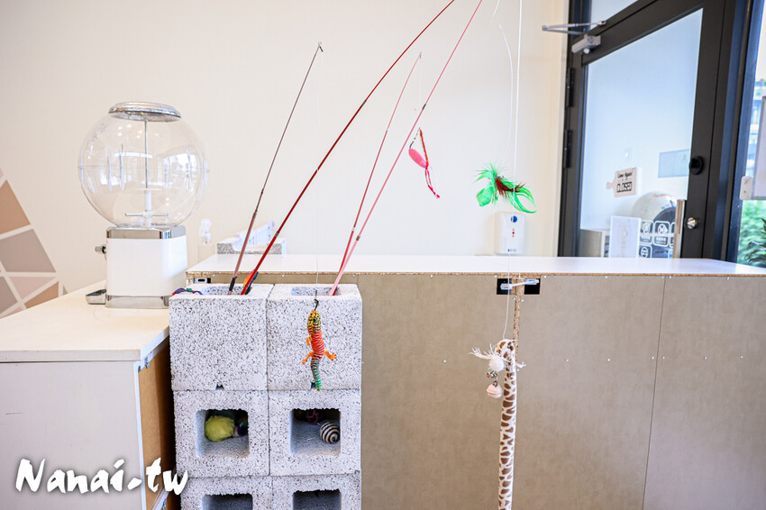 員林新店！藏在透天厝的貓互動店，被一群貓星人包圍超療癒，根本是貓控天堂，必點巨型港式舒芙蕾和金磚蜜糖吐司