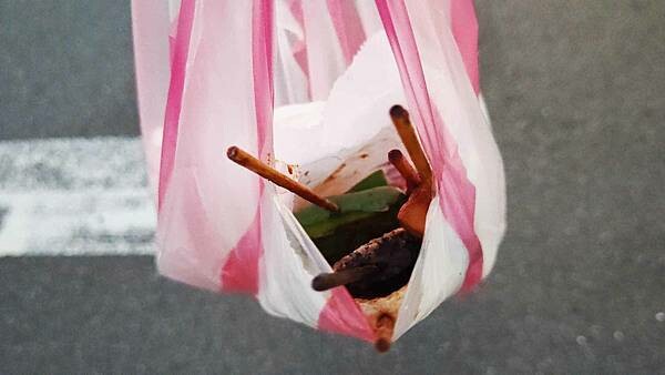 要等2小時以上才能吃到的爆人氣路邊攤美食!老闆的電話一直響個不停,點完餐之後,還要等2小時以上才能吃