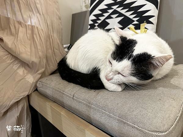 【基隆】貓町咖啡|融合三大名物的吉古拉堡,還有可愛貓咪駐點|