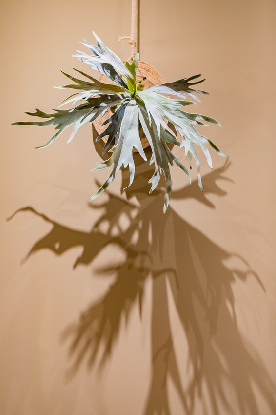 楠梓美食 – Bushcraft Coffee x 溫馨舒適的咖啡廳,品嚐精品咖啡和手工甜點