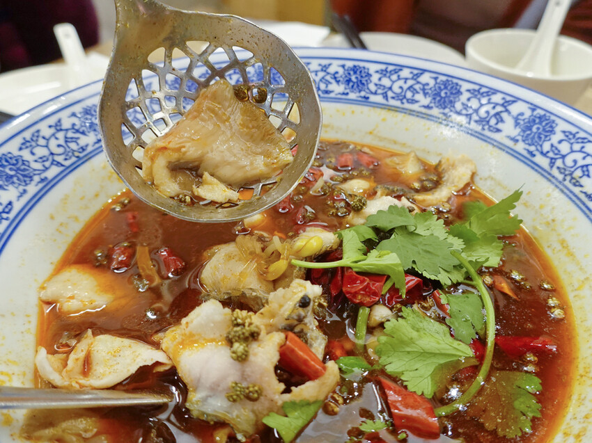 新北市新店區新北新店—樂天皇朝｜獨創八色小籠湯包 皮薄味鮮手工十八摺現做｜裕隆城、大坪林 ​​​​​​​