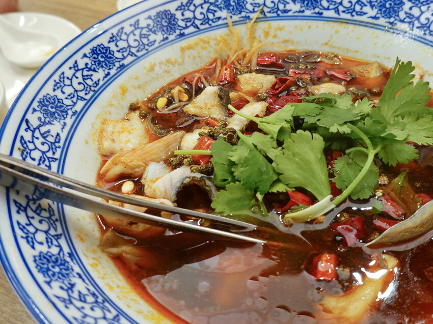 新北市新店區新北新店—樂天皇朝｜獨創八色小籠湯包 皮薄味鮮手工十八摺現做｜裕隆城、大坪林 ​​​​​​​