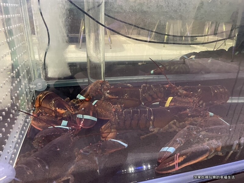 【高雄。左營區】梨花A5和牛放題12.jpg 【高雄。左營區】梨花A5和牛放題12.jpg