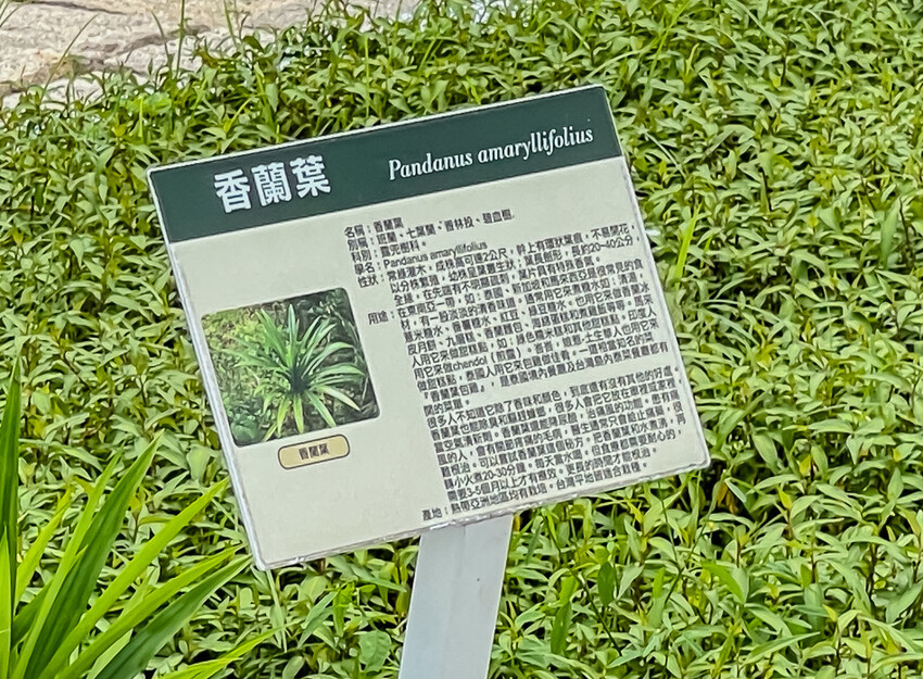 信國社區 – 金三角滇緬風情 x 一碗麵,一道菜,一場滇緬風情之旅