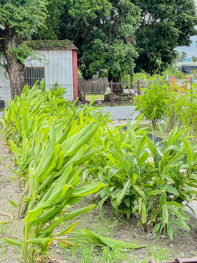 信國社區 – 金三角滇緬風情 x 一碗麵,一道菜,一場滇緬風情之旅