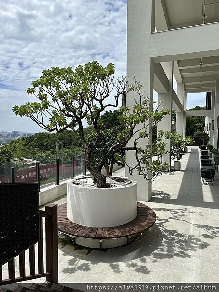 【新竹美食週記】一里雲村|九里松無菜單料理,食材新鮮,家庭慶 【新竹美食週記】一里雲村|九里松無菜單料理,食材新鮮,家庭慶