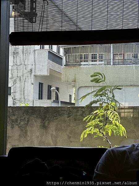 宜蘭縣羅東鎮-CoffeeLab參宿咖啡所