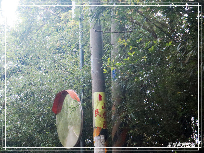 山居蘭園-苗栗南庄/NO.59露(2023.06.09-10)