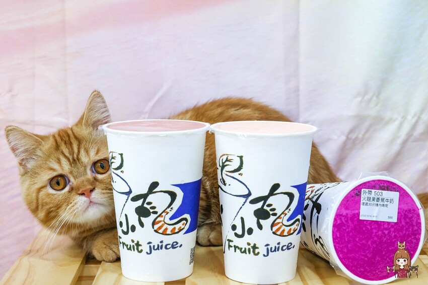 新開幕，新鮮現打果汁不加水不加糖，口感濃郁好喝！可愛店貓當家超療癒