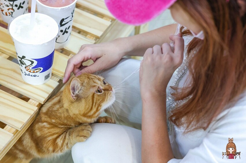 新開幕，新鮮現打果汁不加水不加糖，口感濃郁好喝！可愛店貓當家超療癒