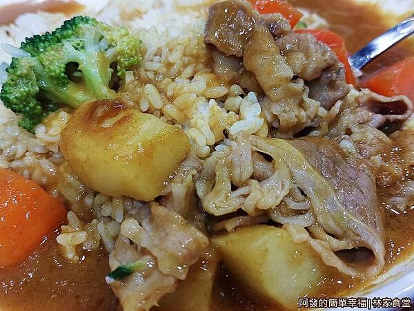 林家食堂13-咖哩牛肉飯特寫.jpg