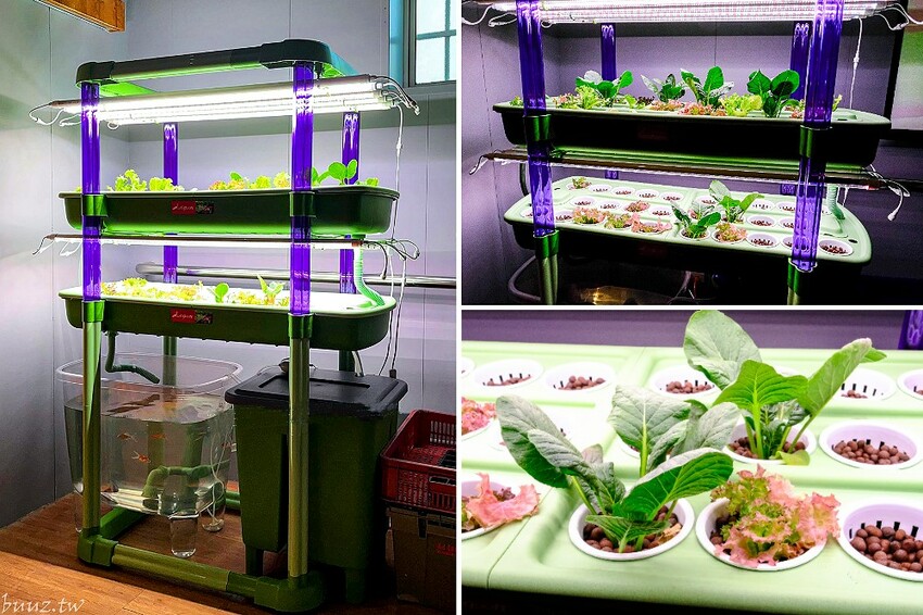 手拍牛肉堡滿滿肉香,貨櫃屋吧啦吧啦小餐館超低調,新增肉醬義麵、牛排義麵適合聚餐微醺!