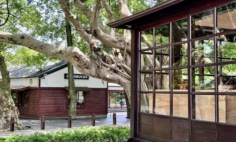 桃園大溪老宅咖啡廳！秋旭文青風甜點必拍，焦糖巴斯克 特色飲品推薦。