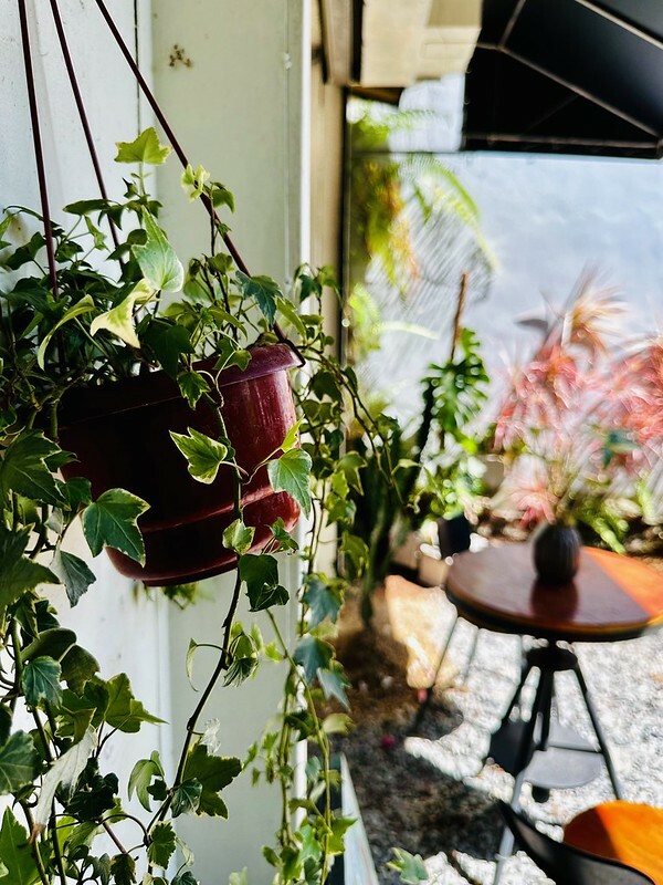 【台灣，桃園市，大溪區】秋旭．咖啡廳，大溪文青老宅廢墟咖啡。（桃園咖啡館/大溪美食）