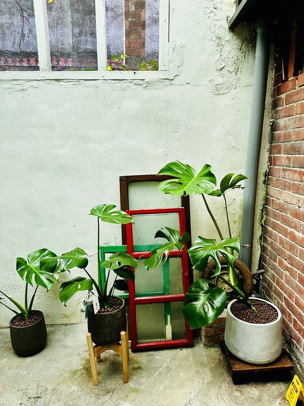 【台灣，桃園市，大溪區】秋旭．咖啡廳，大溪文青老宅廢墟咖啡。（桃園咖啡館/大溪美食）