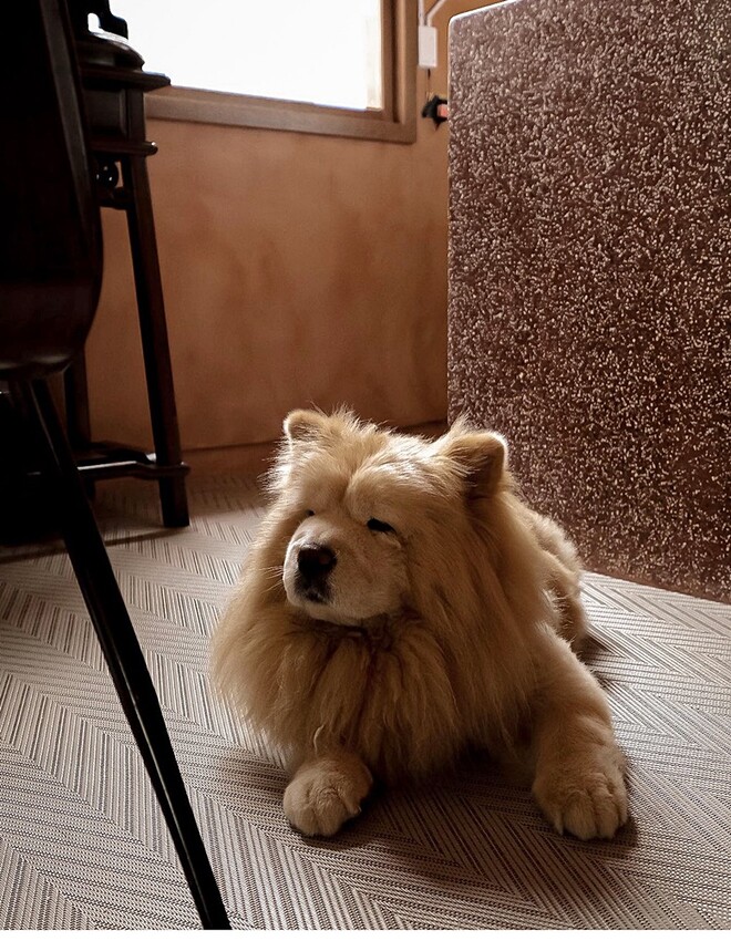 冬天必吃草莓季甜點，再來一杯手沖咖啡或草莓冰棒拿鐵，徹底抓住草莓控的胃！！