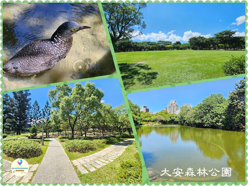 [旅宿]台北 出差、旅遊住宿新選擇 台北市高CP親民房價 福華國際文教會館