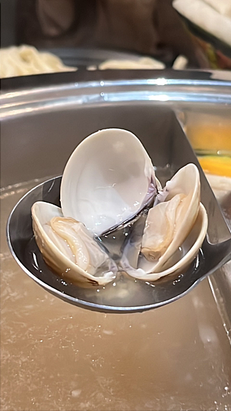 【台北美食】東區新開幕超濃郁新鮮又甜到爆炸蛤蜊鍋|330元就