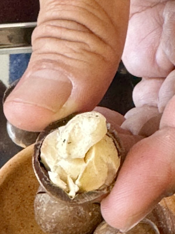 【台灣，桃園市，中壢區】秋甜kakigori ，新開幕好拍文青小店；日式刨冰、生吐司美味又好拍。（中壢冰店/中