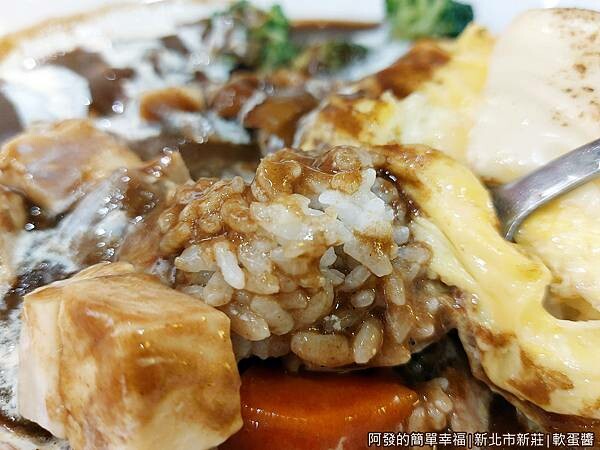 軟蛋醬11-日式黑咖哩特寫.jpg