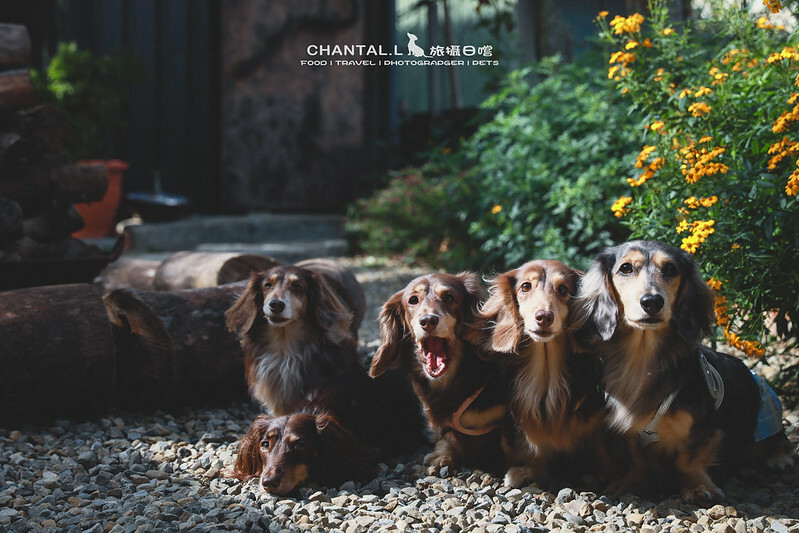 1J6A2804-2 拷貝 1J6A2804-2 拷貝