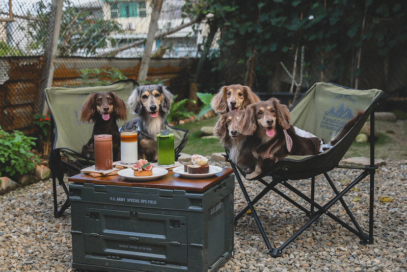 1J6A2773-2 1J6A2773-2