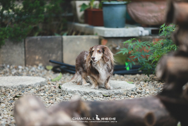 1J6A2865-2 拷貝 1J6A2865-2 拷貝