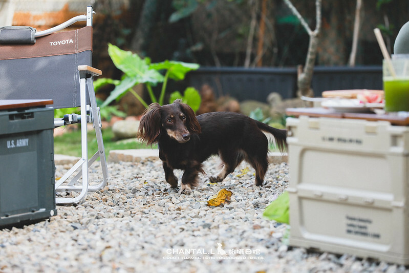 1J6A2822-2 拷貝 1J6A2822-2 拷貝