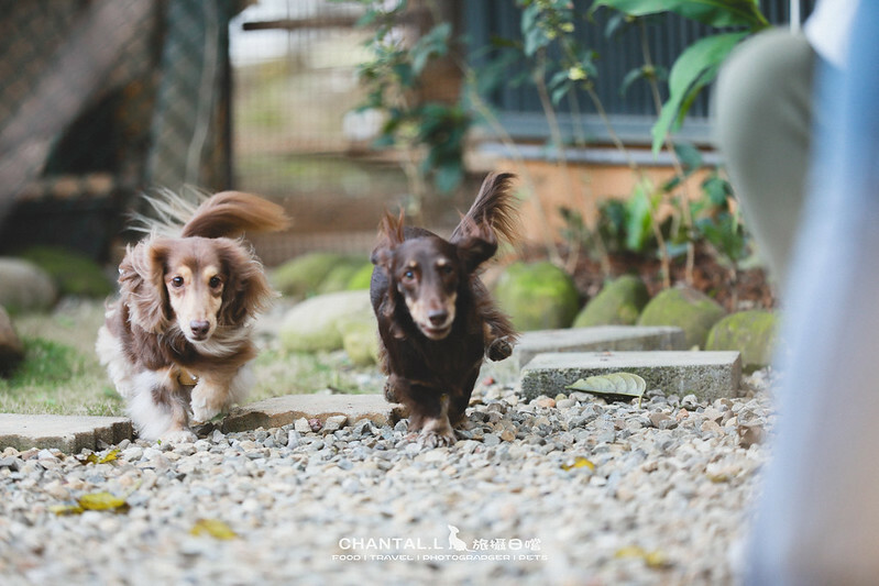 1J6A2853-2 拷貝 1J6A2853-2 拷貝